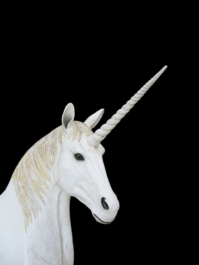Willow Wisp