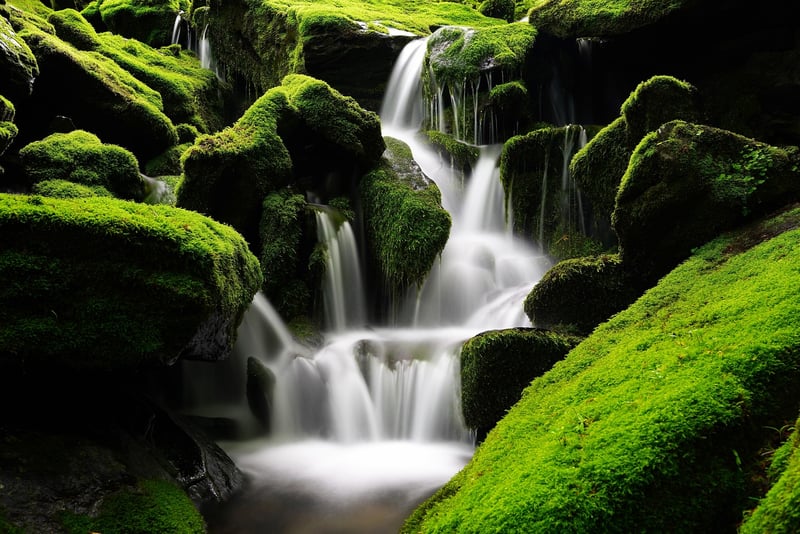 Mystical Waterfall